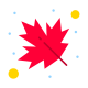 maple-leaf